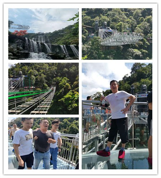 輕觸開關，輕觸開關廠家