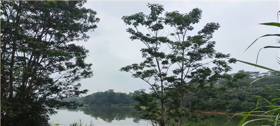 微信圖片_20220523092951