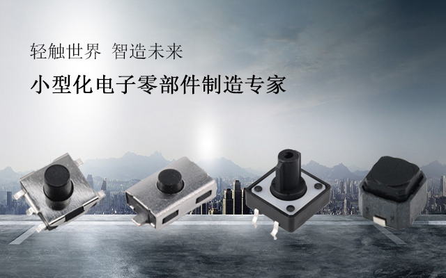港源電子輕觸開關生產研發廠家