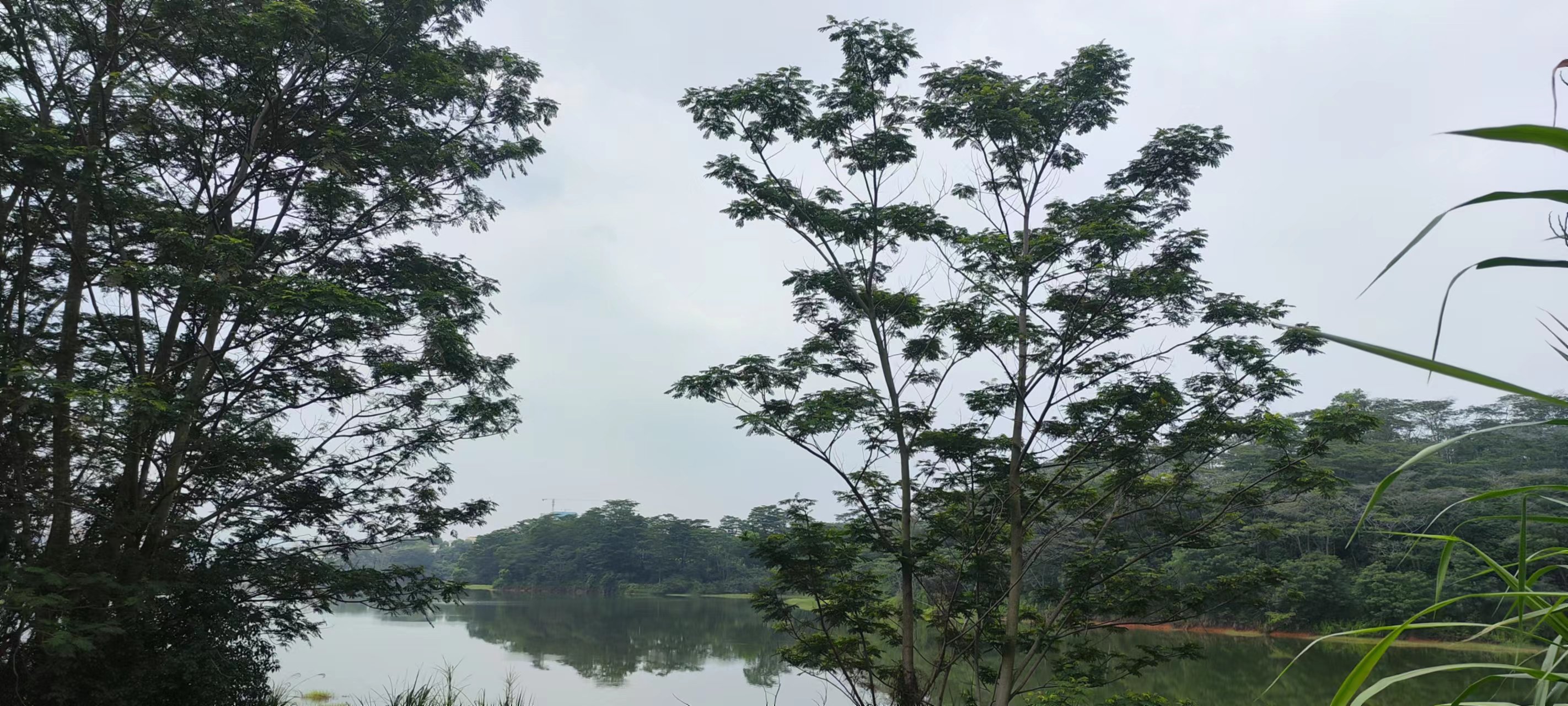 微信圖片_20220523092951