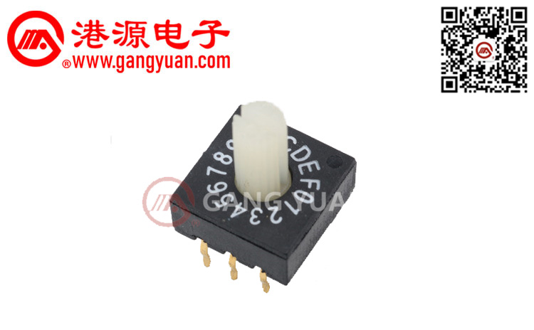 RS系列撥碼開關